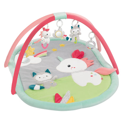 3-D Activity Blanket Aiko & Yuki