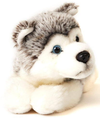Grey Husky Puppy Plush Toy