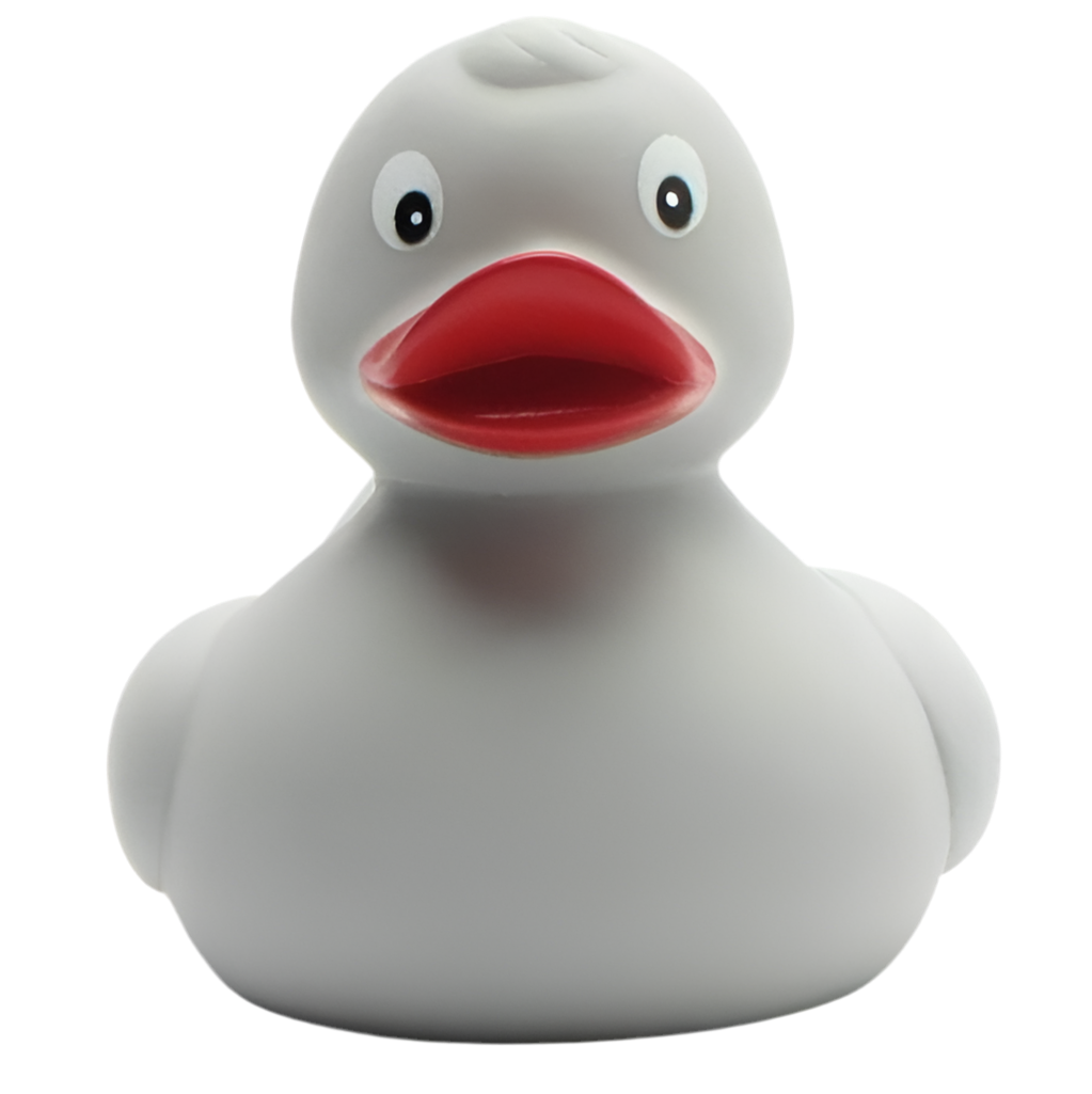 Classic Grey Duck