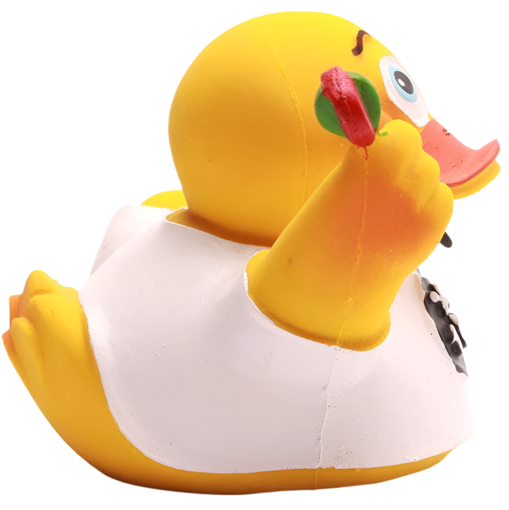 Champion Duck Darts