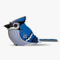 067 Blauwe gaai