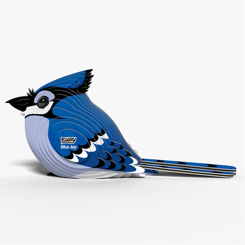 067 Blauwe gaai
