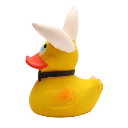 Canard Bunny