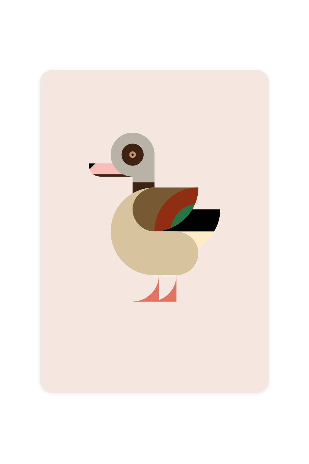 Carte postale avec Nile Goose