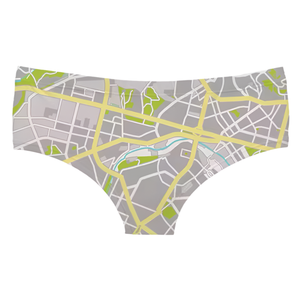 "You Are Here" panties
