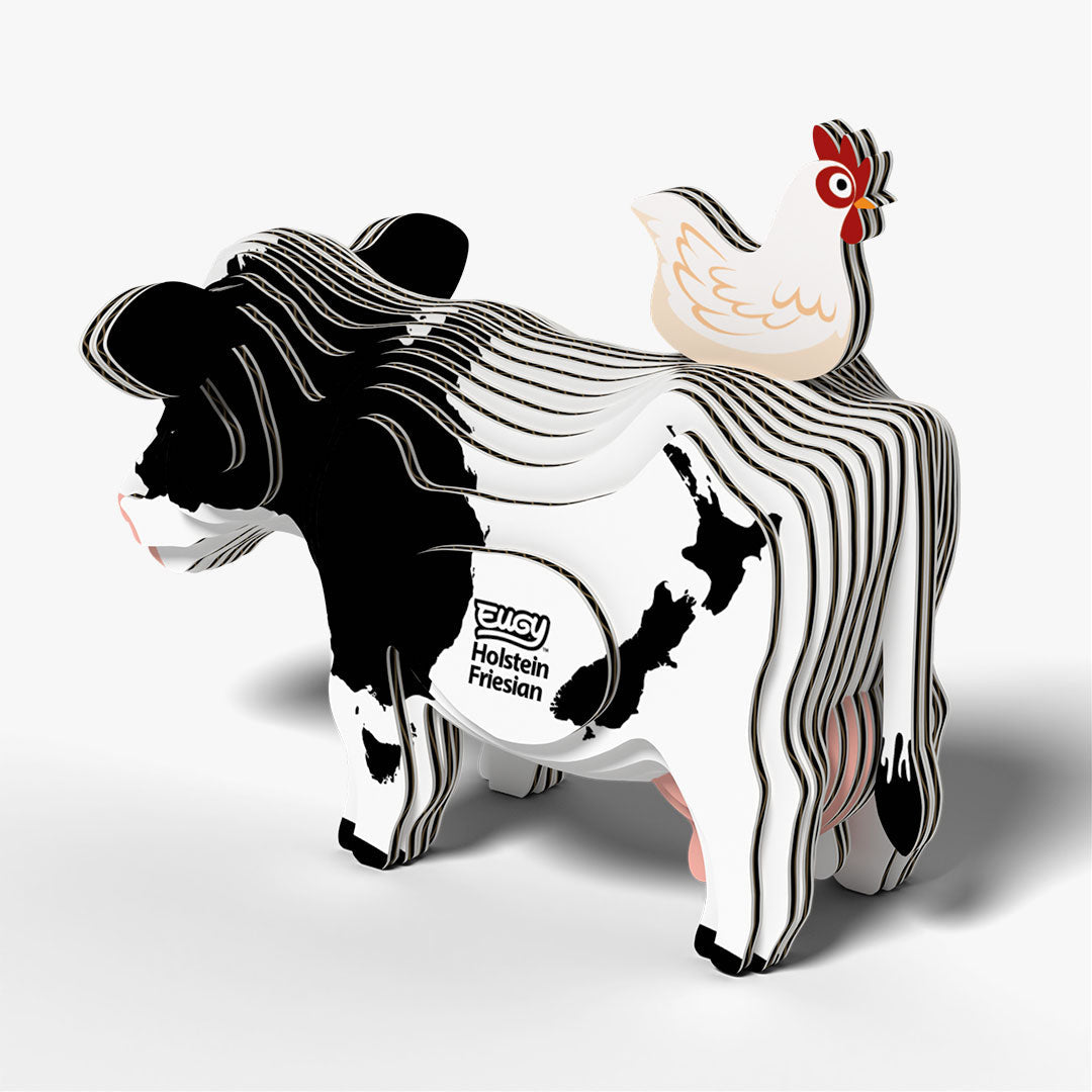079 Holstein Friesian