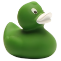 Classic Green Duck