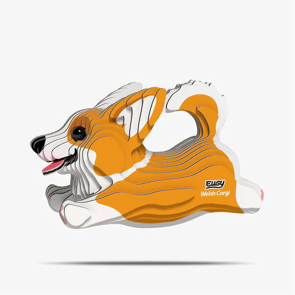 080 Welsh Corgi Dog