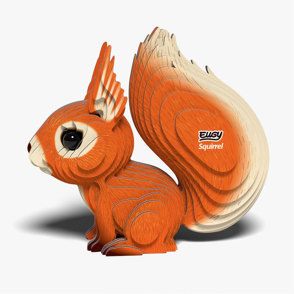 083 Eichhörnchen