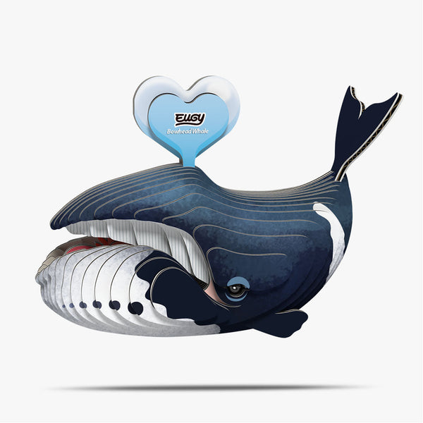084 Bowhead whale