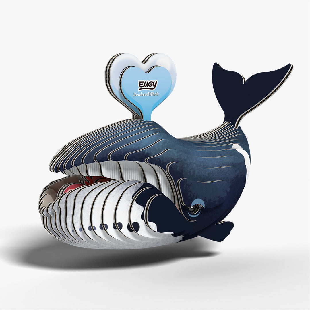 084 Bowhead whale