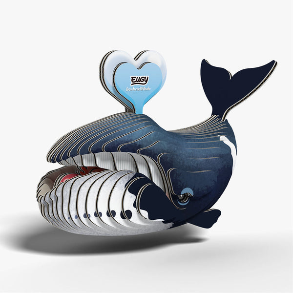 084 Bowhead whale