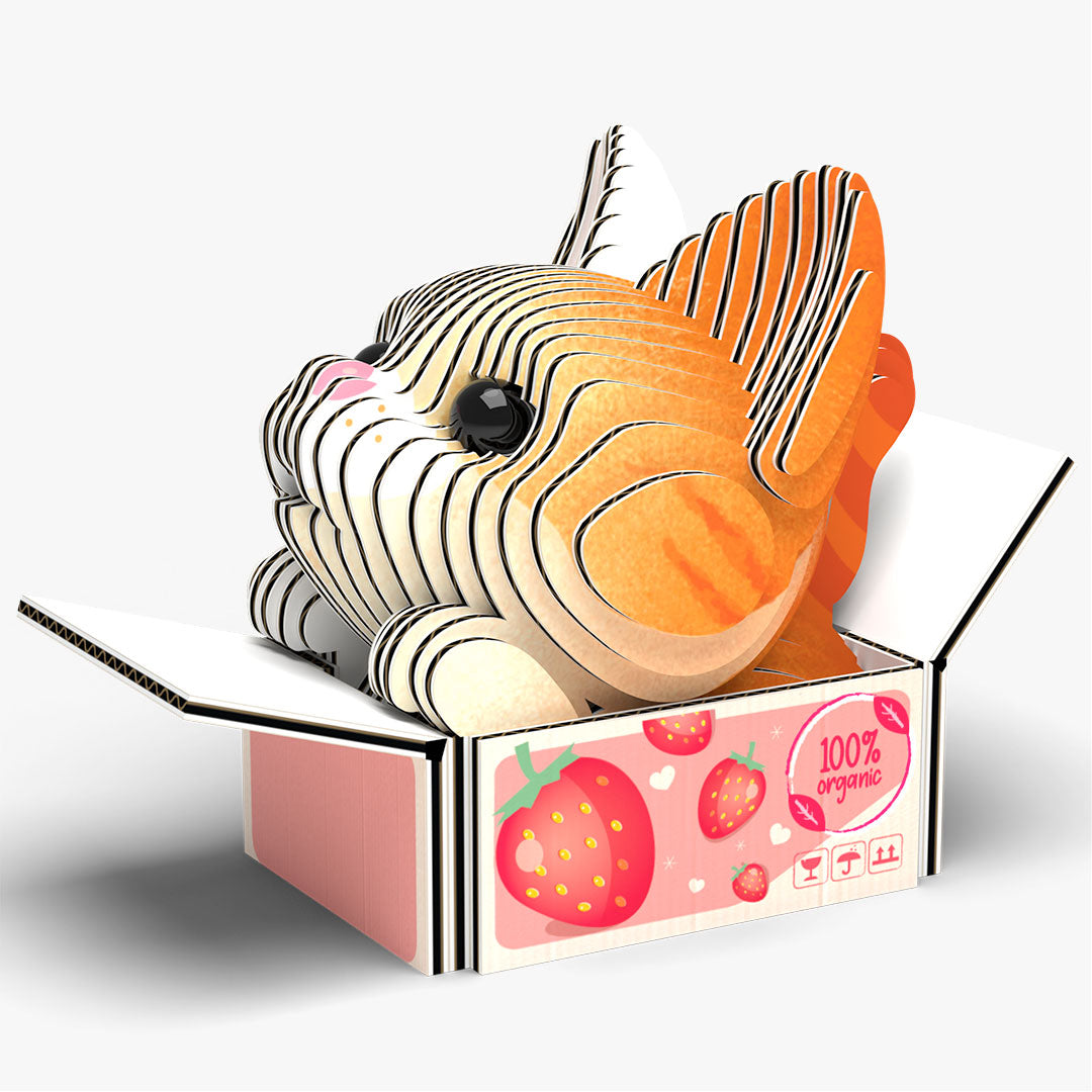 087 CAT Pumpkin