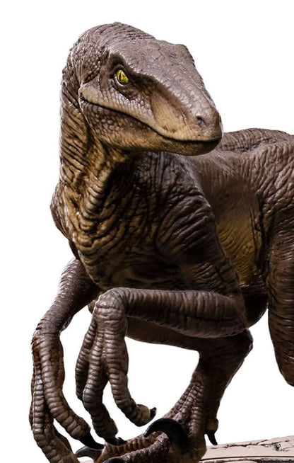 Velociraptor Statue C - Jurassic Park - Icons - Iron Studios