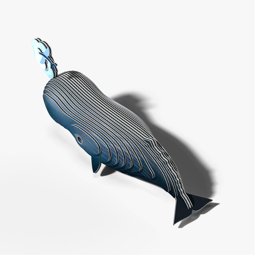 092 Sperm Whale