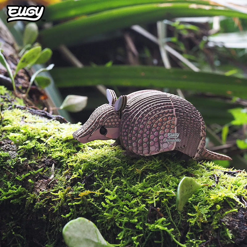 095 Armadillo
