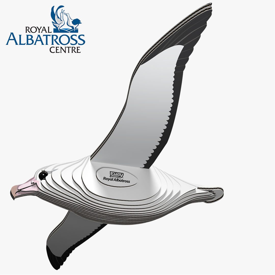 Maquette 3D EUGY 097 Albatros royal – vue 1