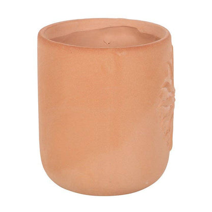 Terracotta plant pot Sun