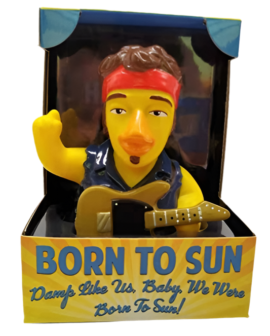 Canard Born to Sun