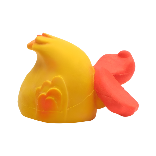 Diving duck