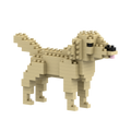 BRIXIES Golden Retriever