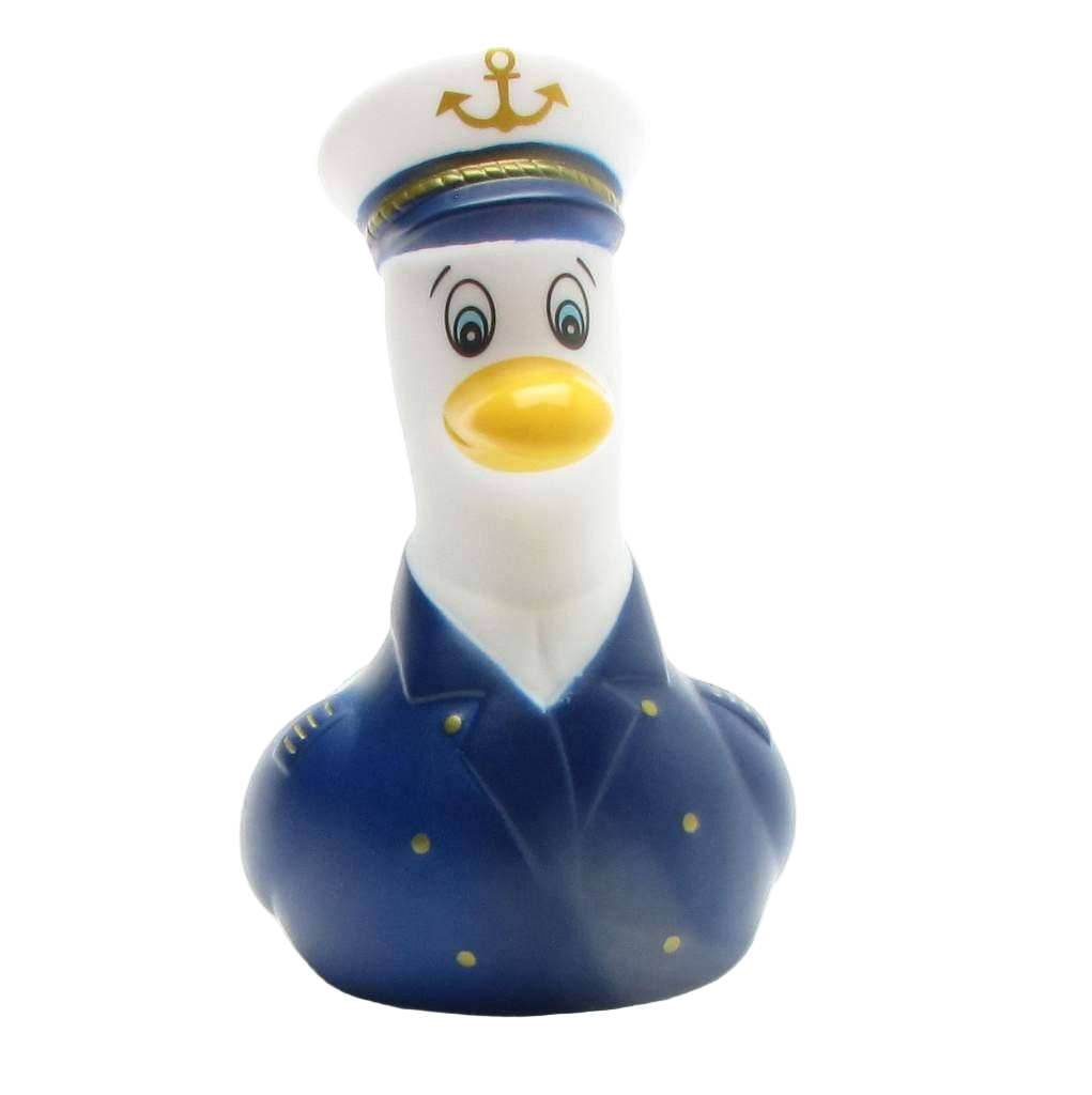 Captain Seagull