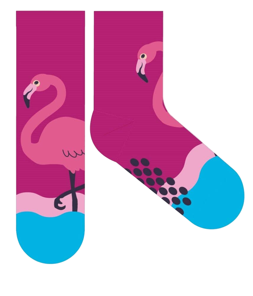 Chaussettes Enfant Antidérapantes Flamant Rose