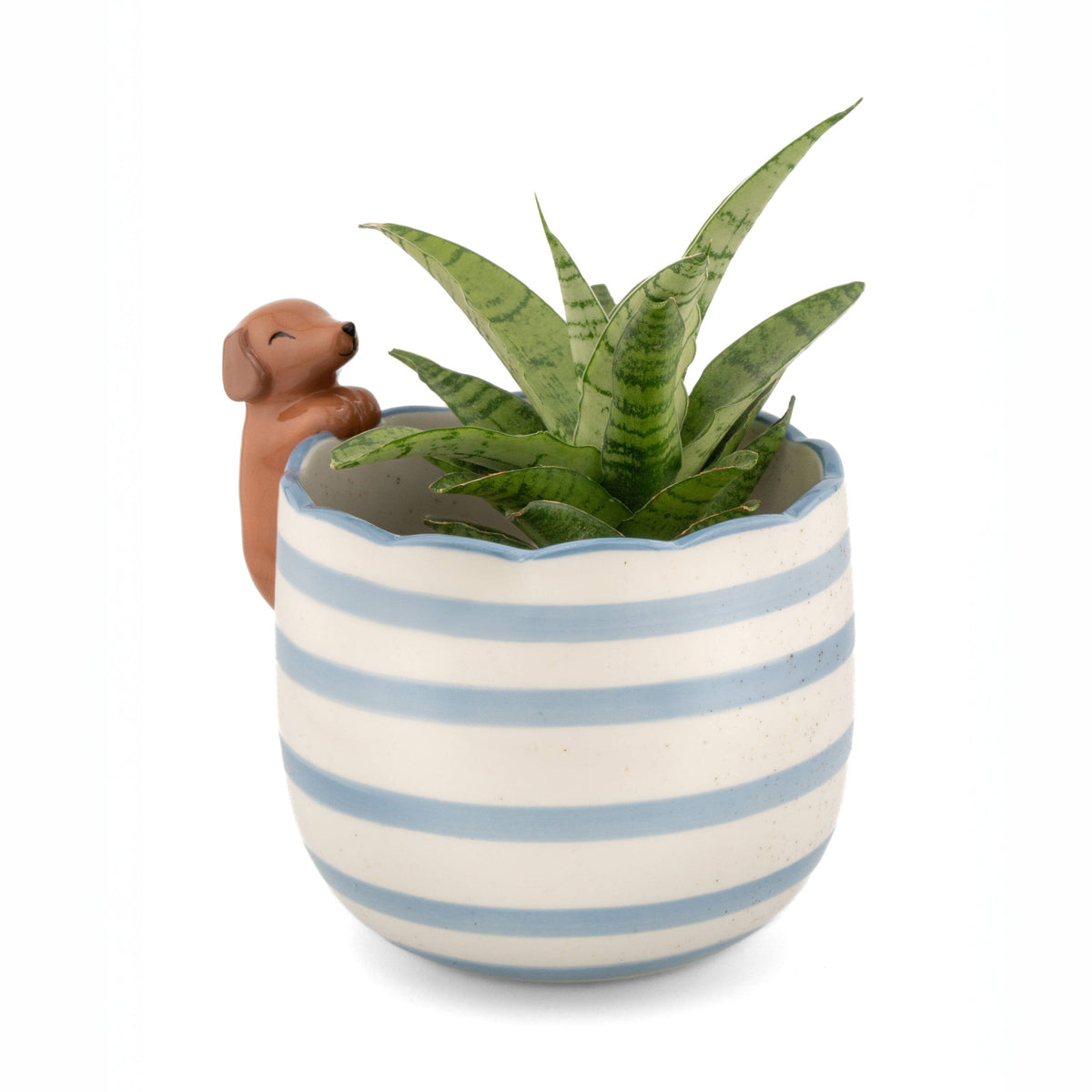 Playful Dachshund Planter