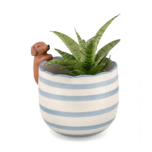 Playful Dachshund Planter