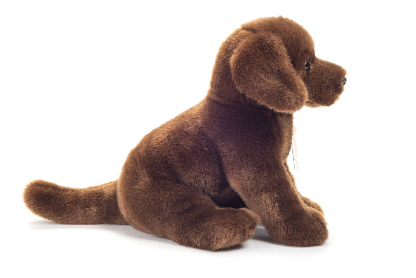 Peluche Labrador assis marron foncé