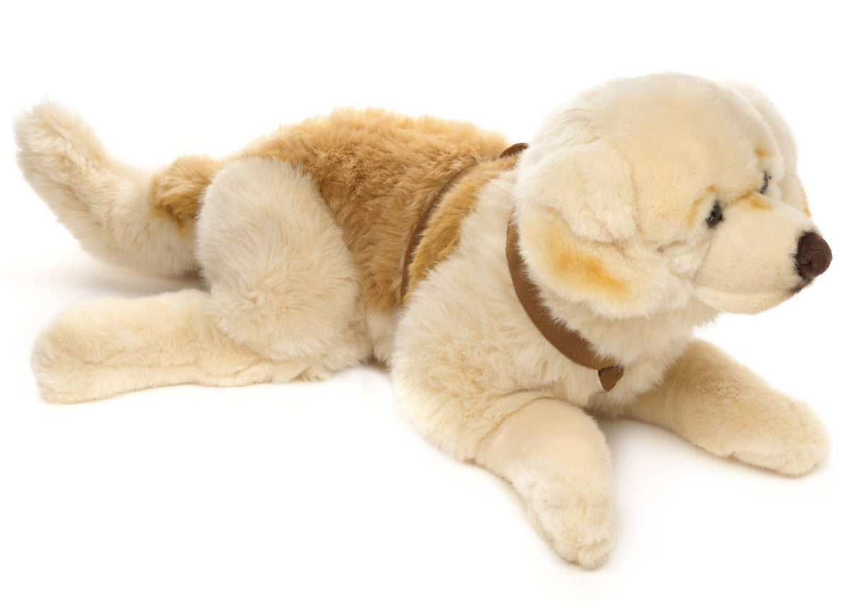 Golden retriever plush lying with harness