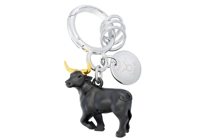 Zodiac Sign Keychain