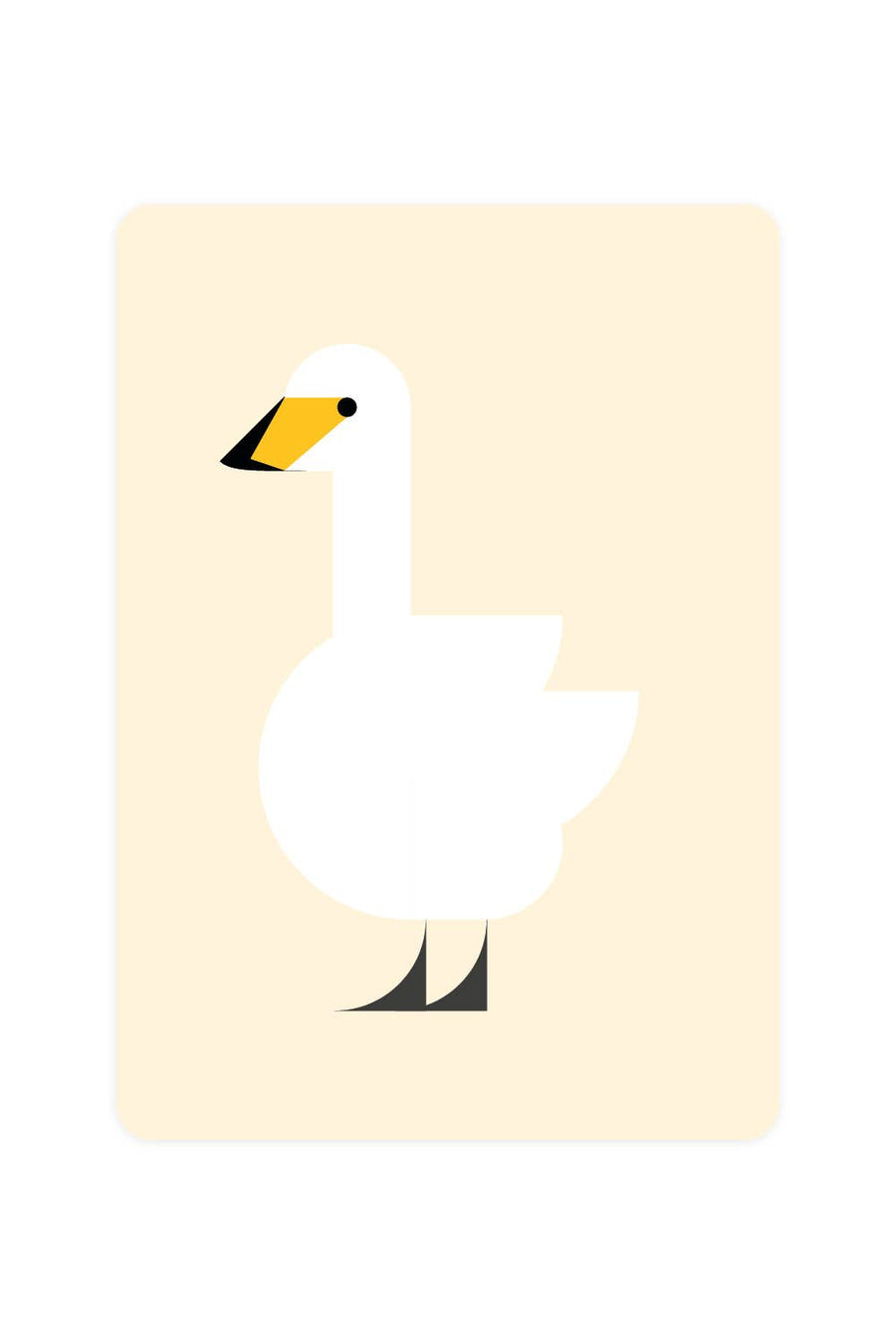 Whooper swan