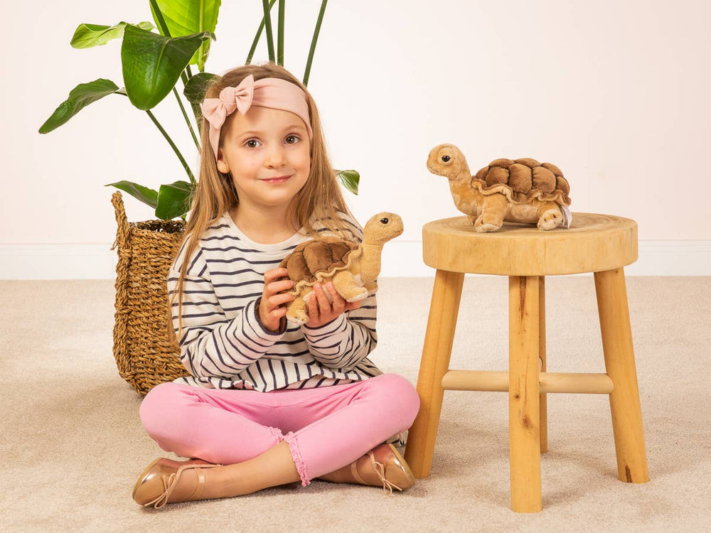 Schildpad Knuffel – 20 cm