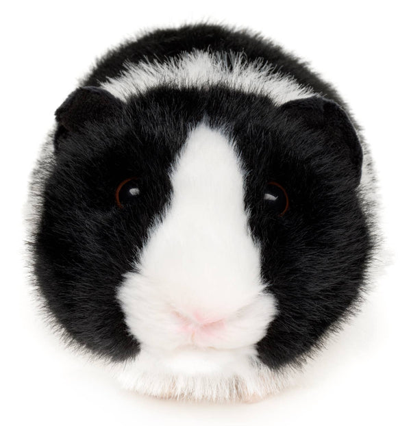 Peluche Cochon d'Inde (noir) Uni Toys