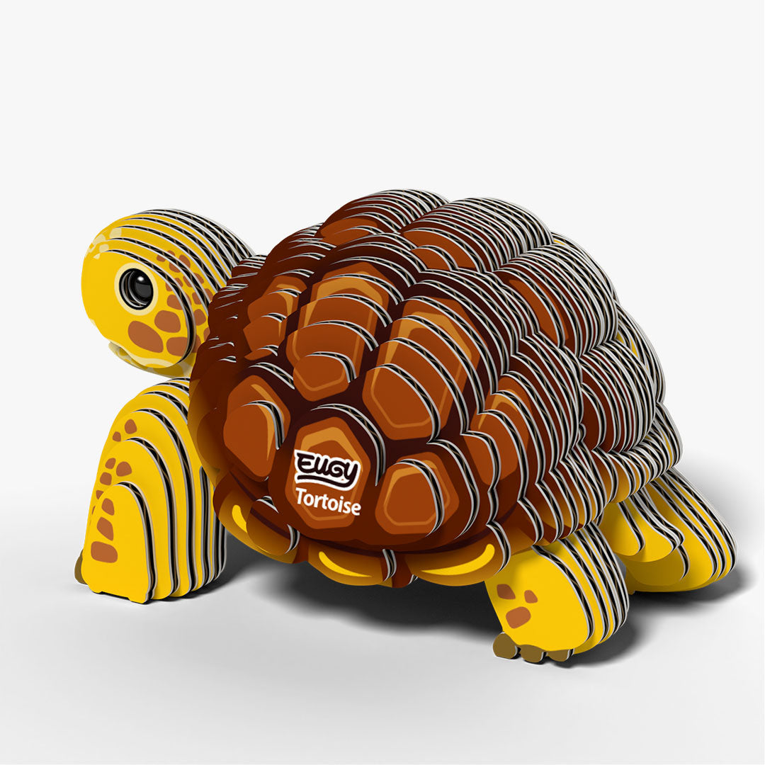 104 Tortoise