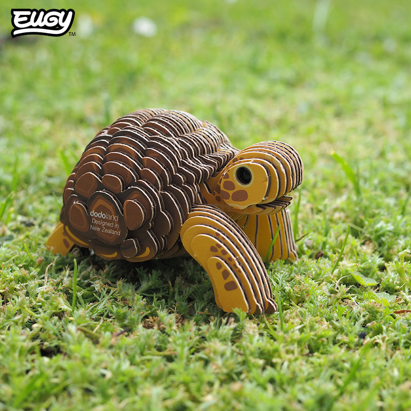104 Tortoise