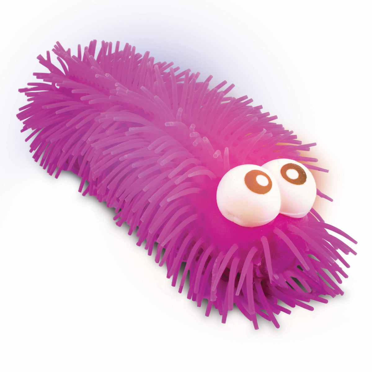 Insects with round, blinking eyes