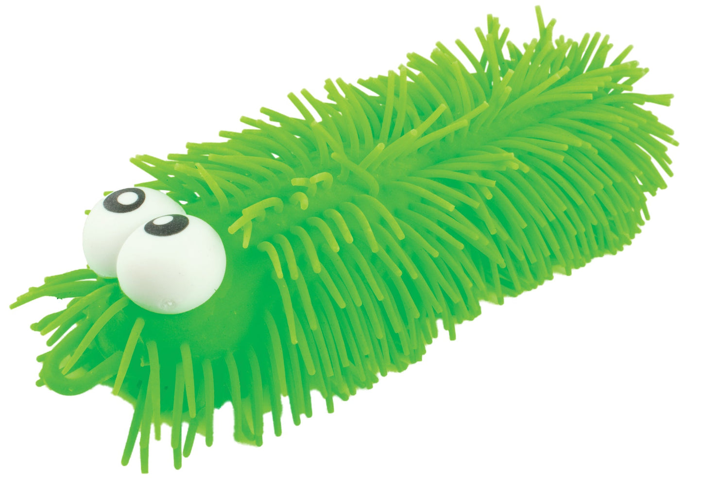 Insects with round, blinking eyes