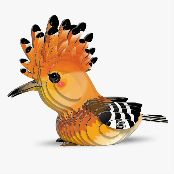 105 Eurasian Hoopoe