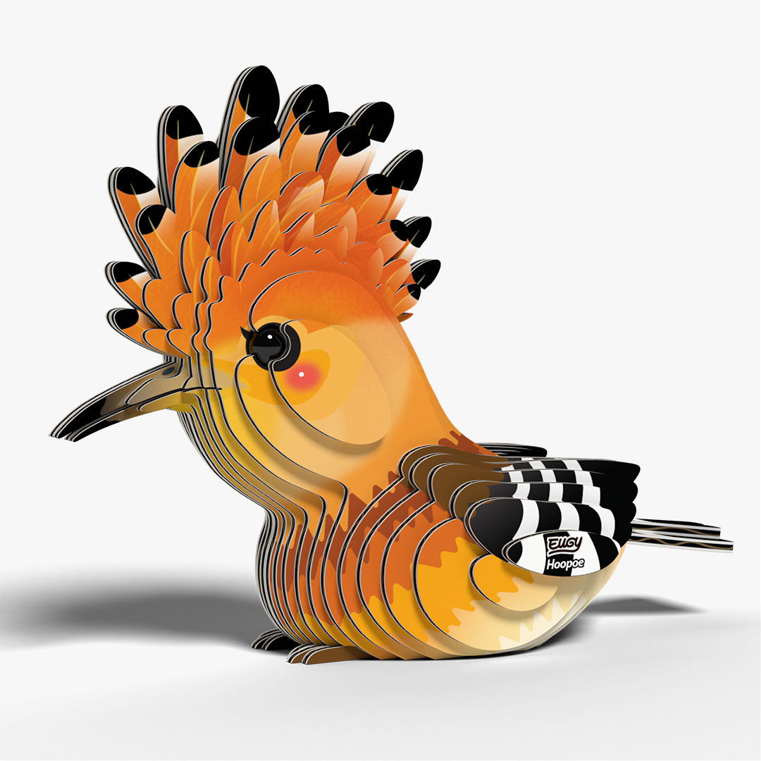 105 Eurasian Hoopoe