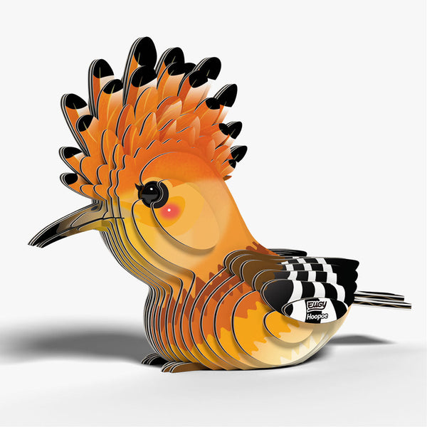 105 Eurasian Hoopoe