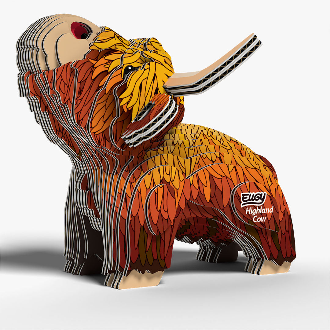 106 Highland Cow