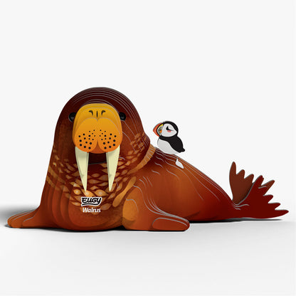 107 Walrus