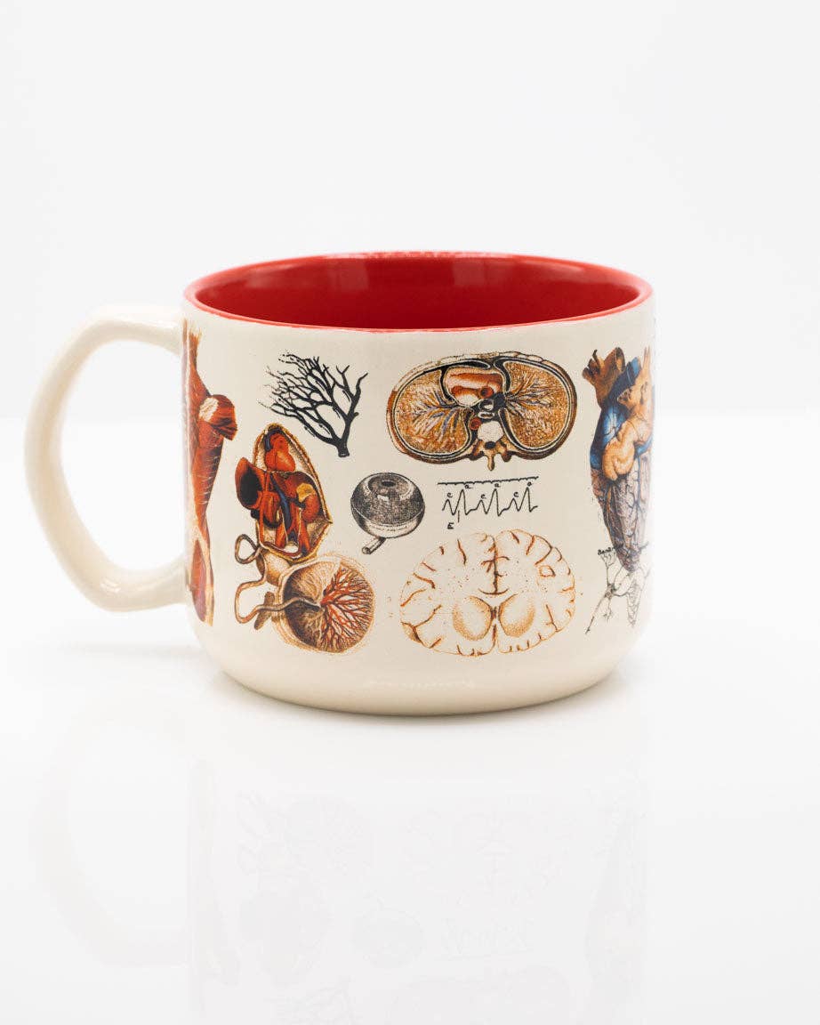 Vascular Anatomy Mug (430 ml)