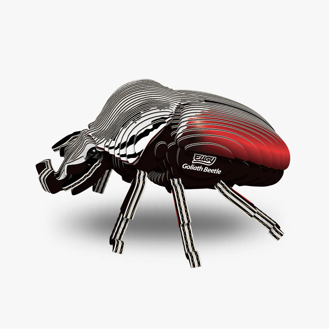 Maquette 3D EUGY 111 Coléoptère Goliath – vue 1