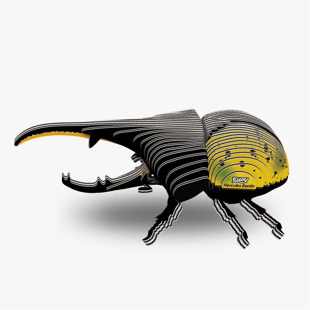 Maquette 3D EUGY 112 Coléoptère Hercule – vue 1