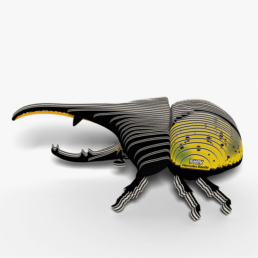 112 Hercules Beetle