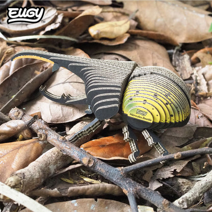 112 Hercules Beetle