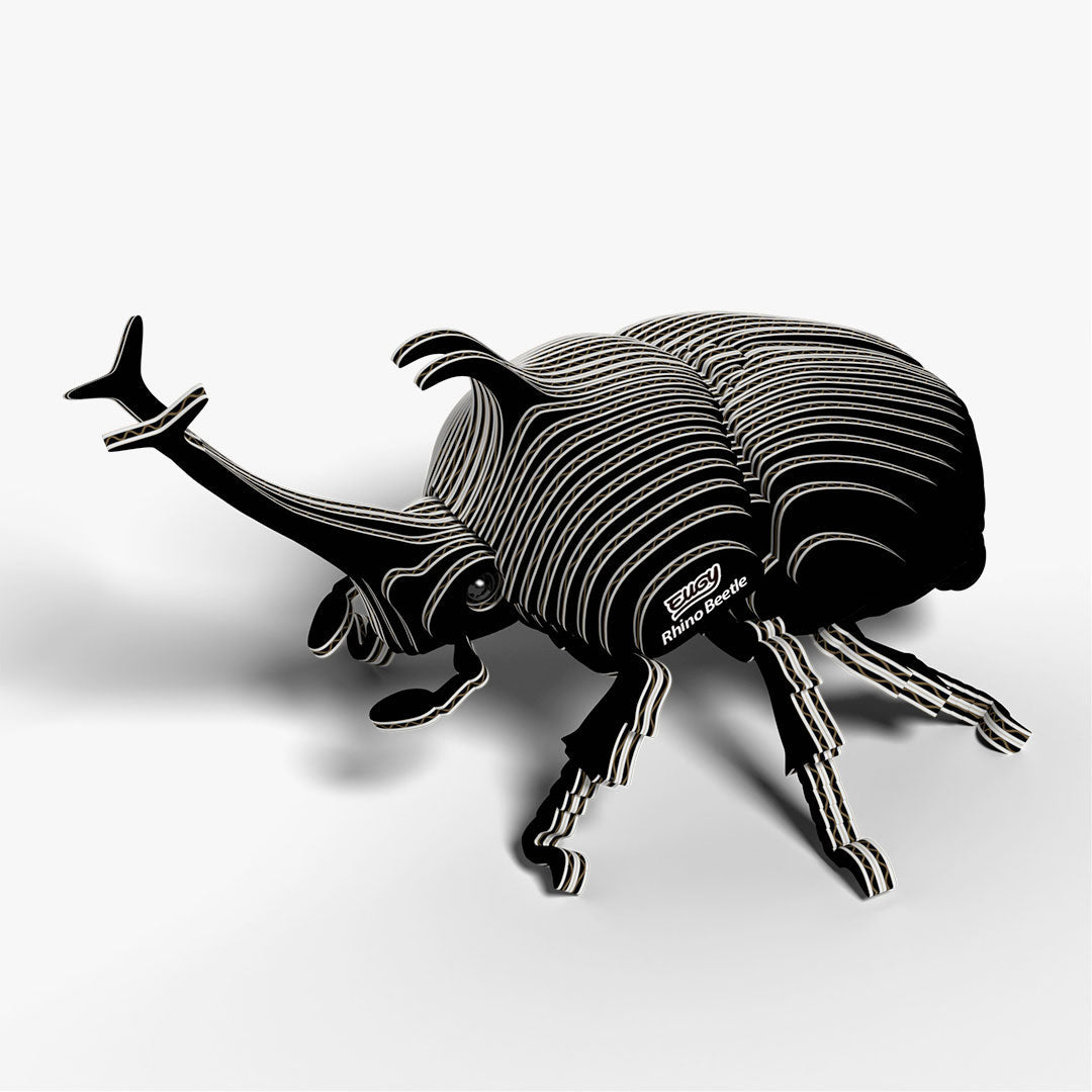 113 Rhinoceros beetle